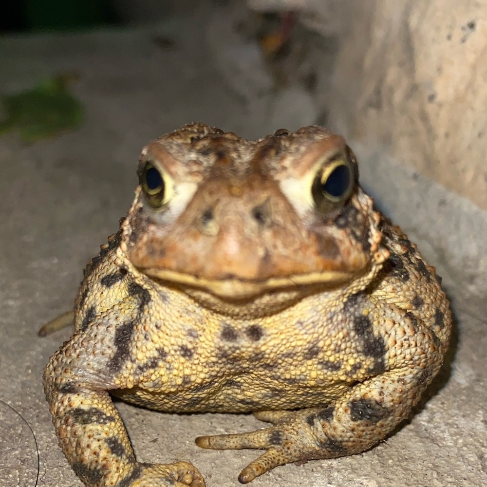 Meet your Posher, Nina